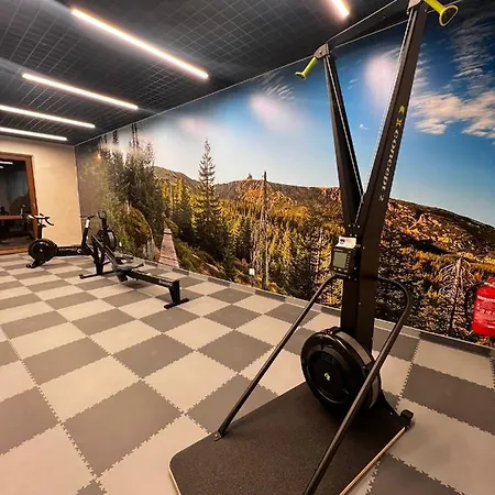 Апартаменты Park A6- Z Dostepem Do Basenu, Sauny, Jacuzzi, Silowni Шклярска-Поремба